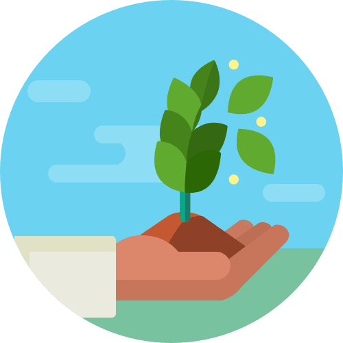 hand holding a baby plant